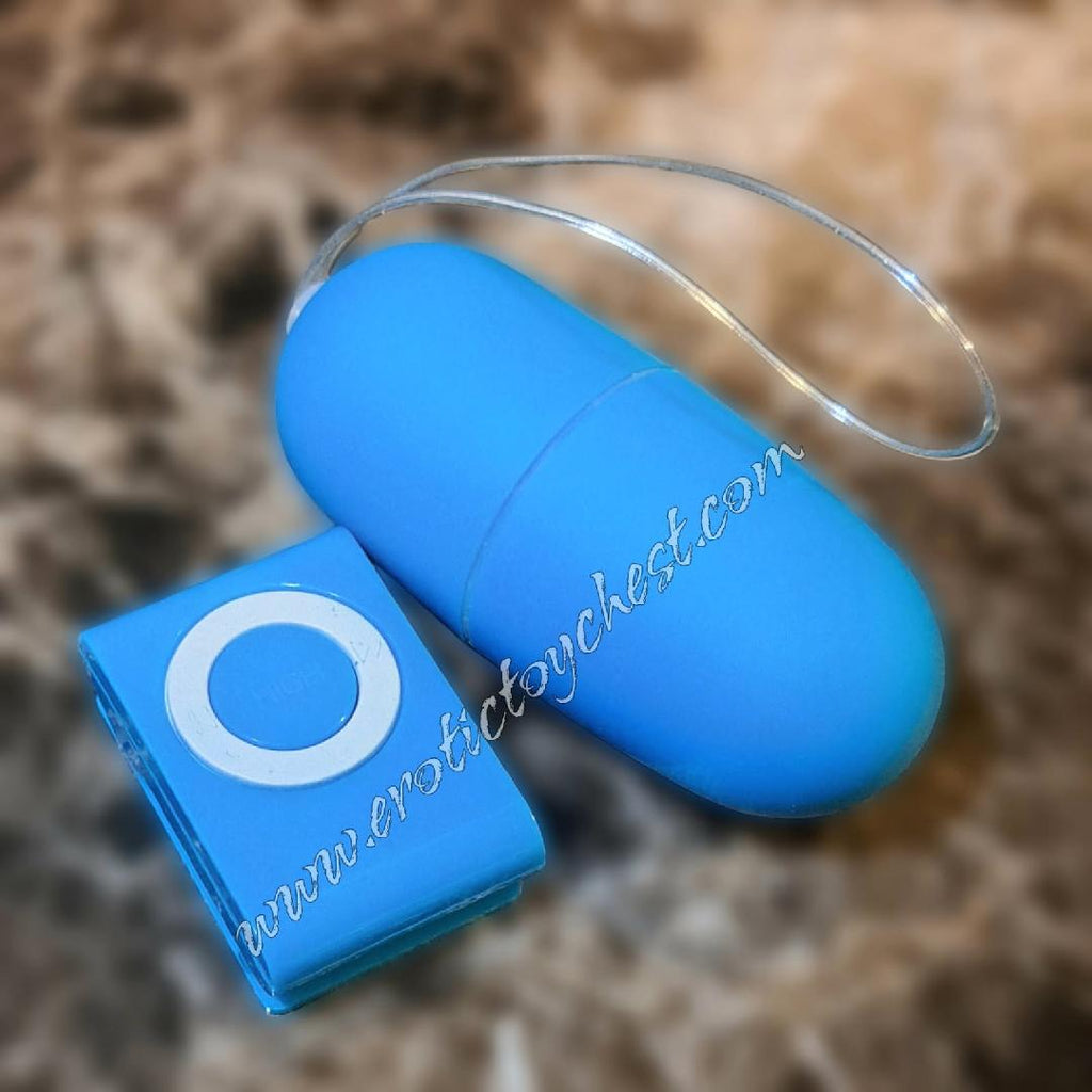 The Date Night Egg Vibe (Vibrating Undies/Ladies)