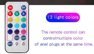 The Rear-End Plug (Disco Light)