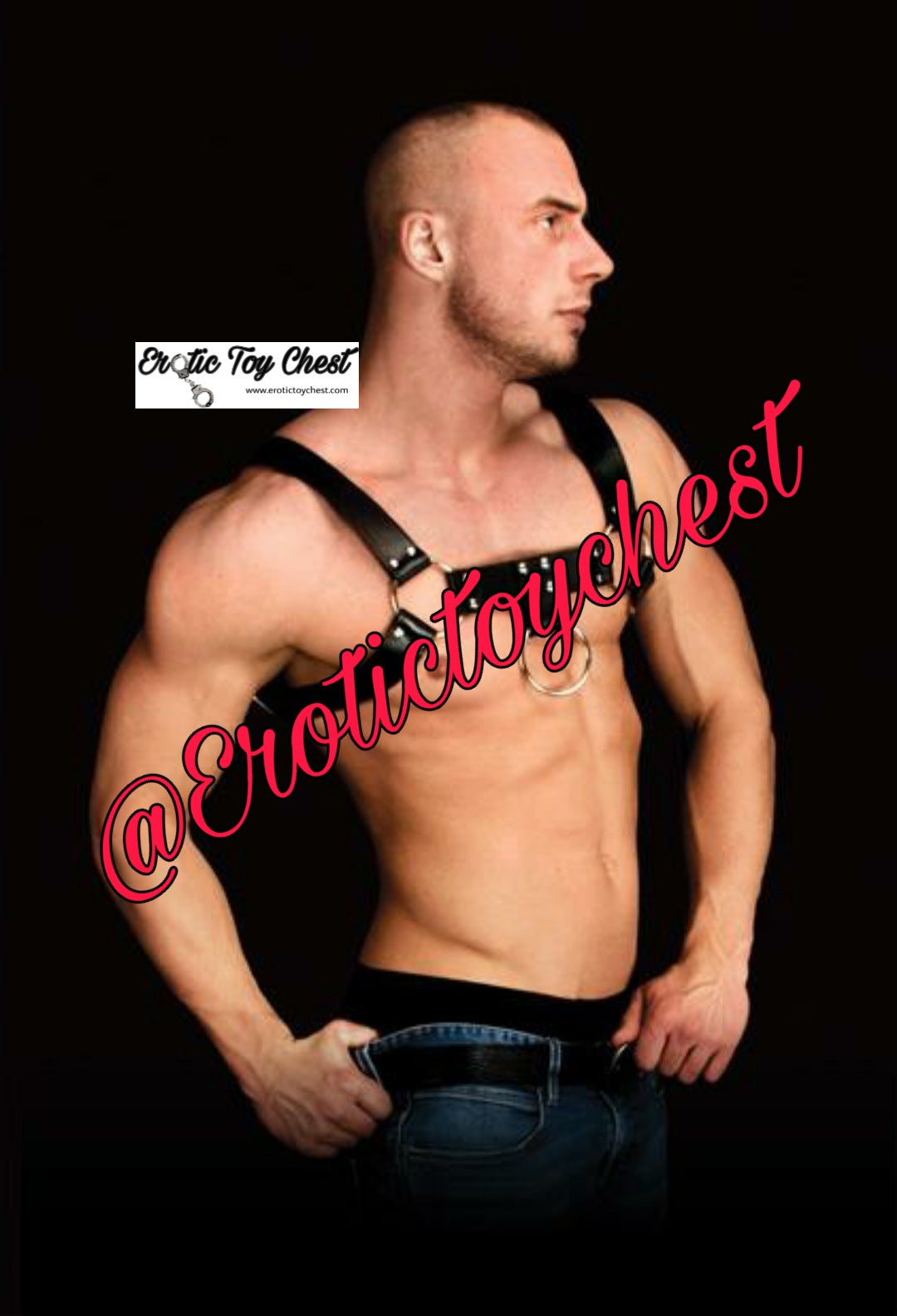 The Chest Body Harness