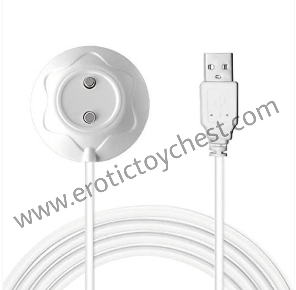 The Original Rose Massager Replacement Charger