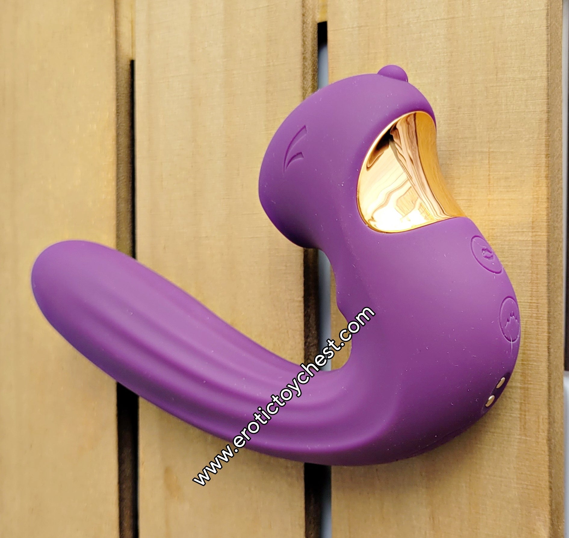 The Squirrel Pro Erotic Toy Chest The Squirrel Pro Erotic Toy Chest
